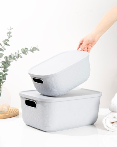 باکس نظم دهنده لیویا